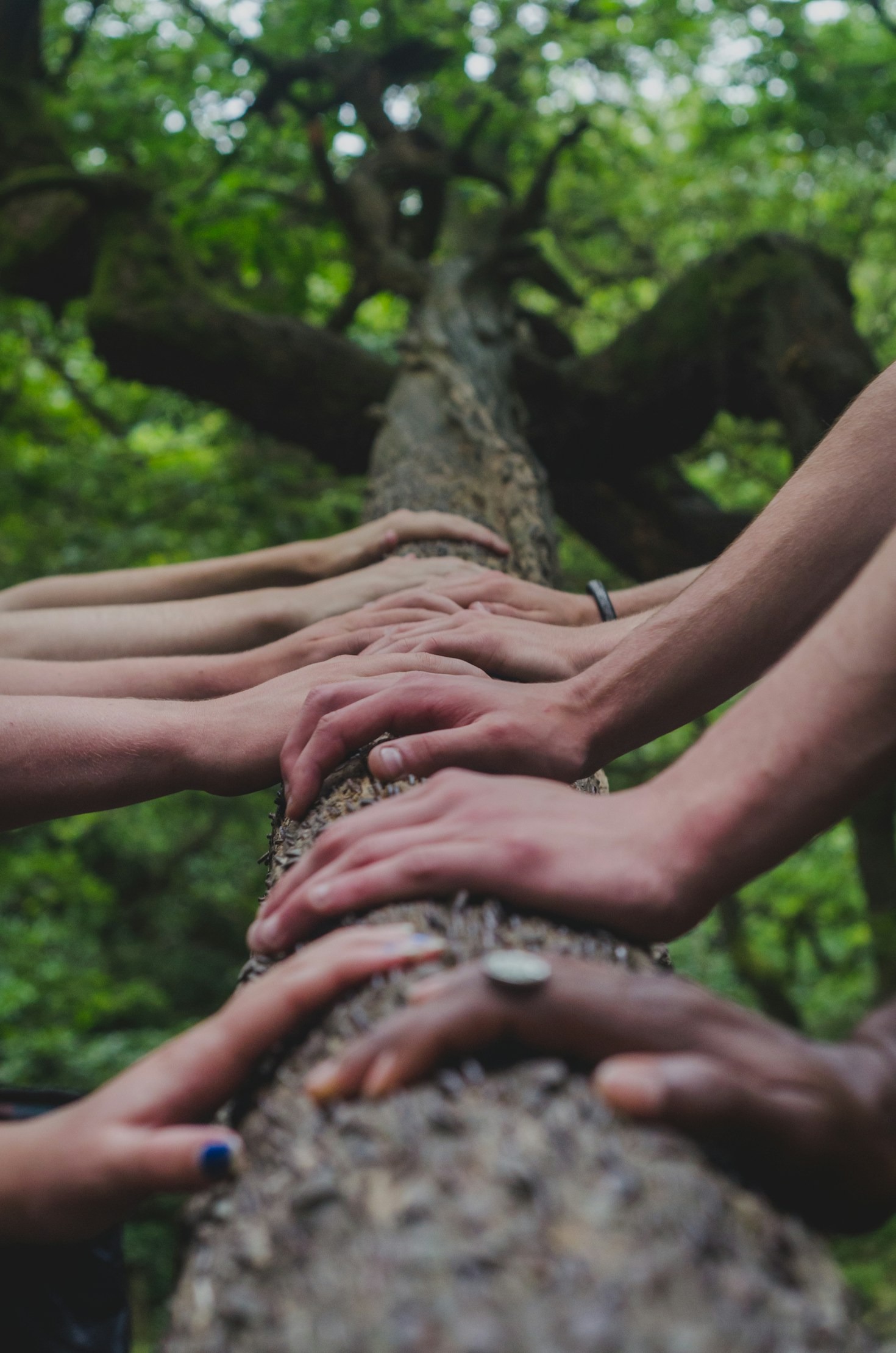 The Role of Trusted News in Empowering Communities